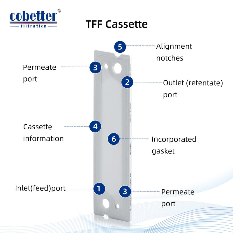 TFF Cassette structure details