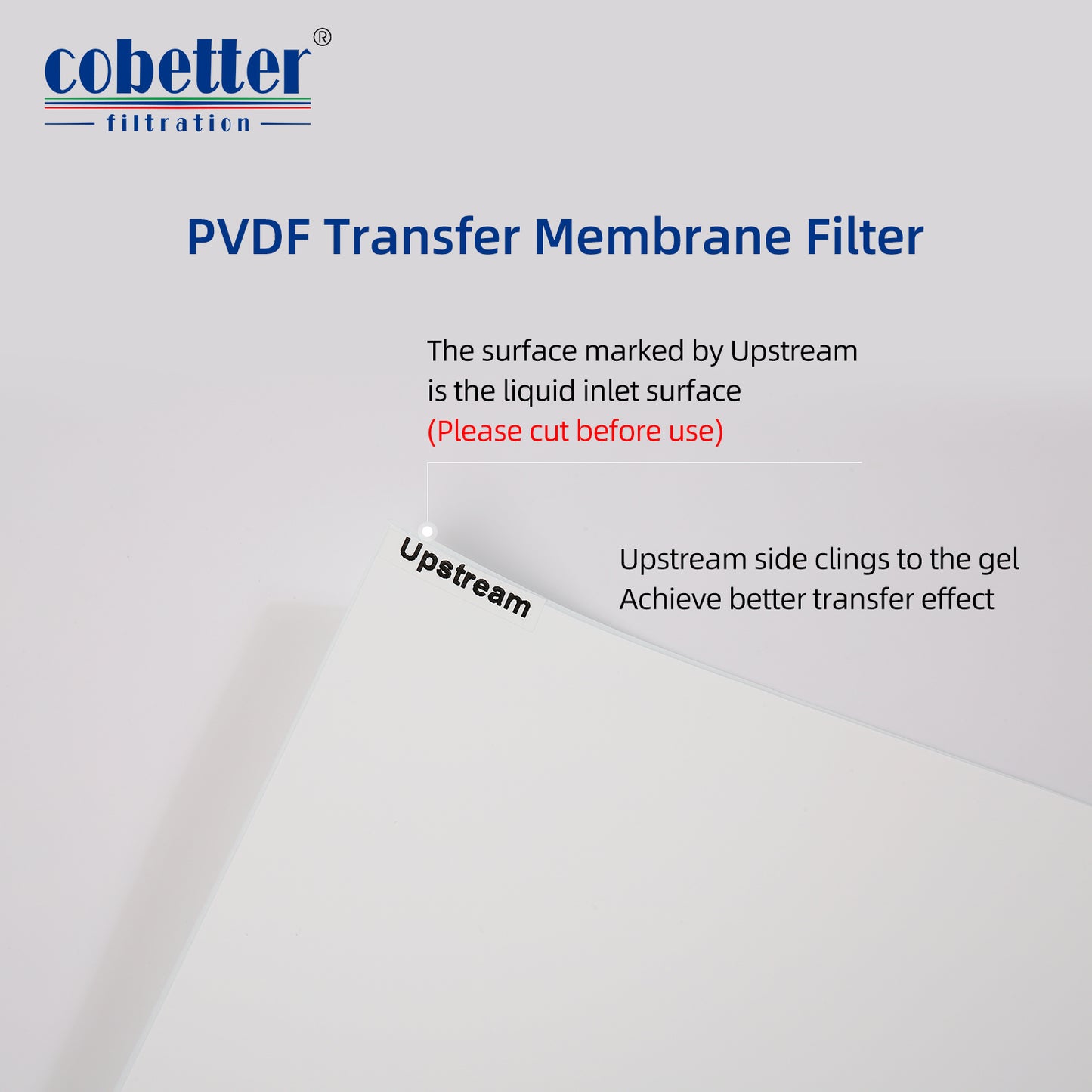 PVDF Transfer Membrane Filter 