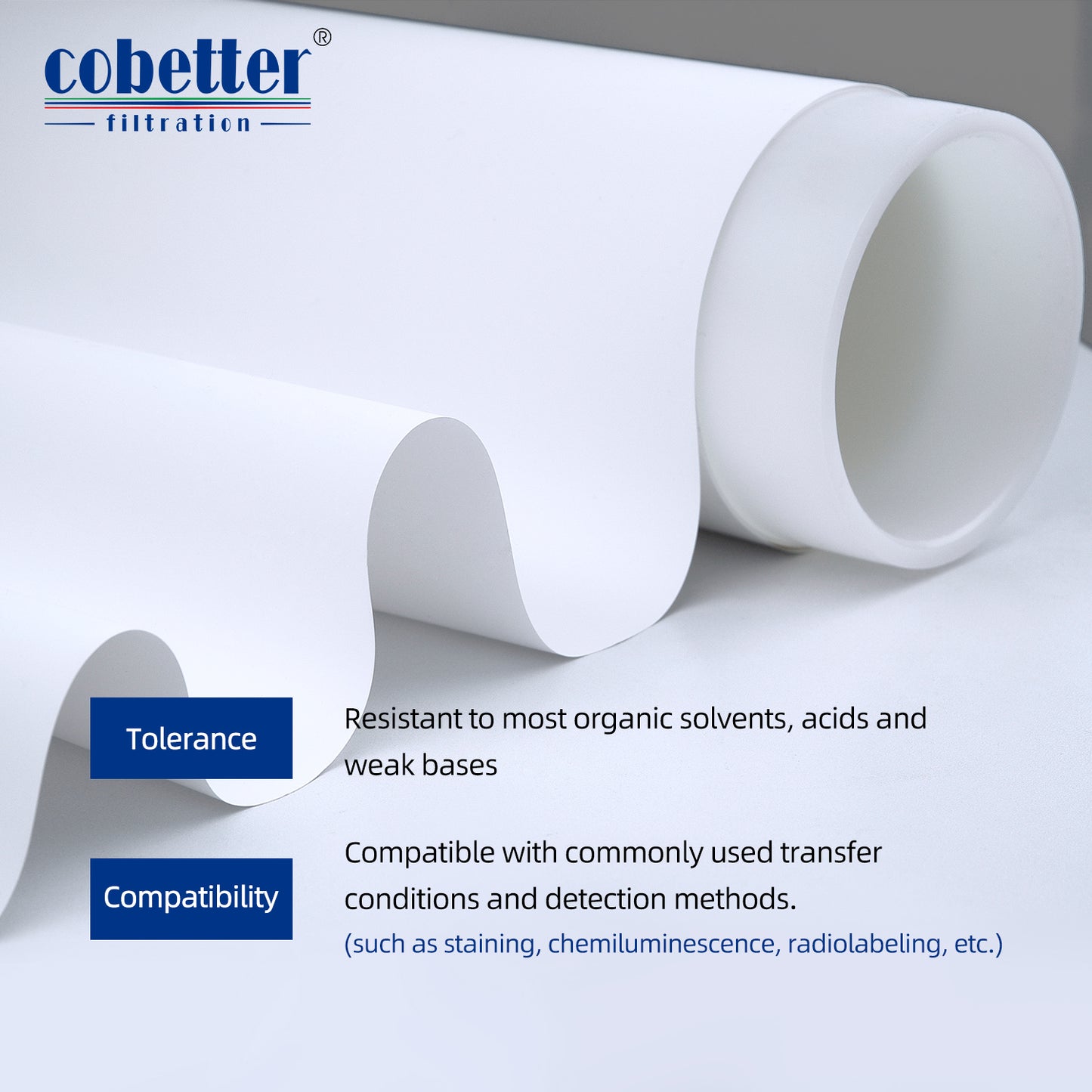 COBETTER 84 × 70mm PVDF Transfer Membranes